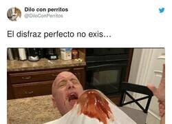 Enlace a Tremendo mal rollo, por @DiloConPerritos