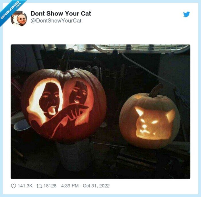 meme,gato,chicas,pumpkin