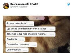 Enlace a Peliculón por cierto, por @GranRespuesta