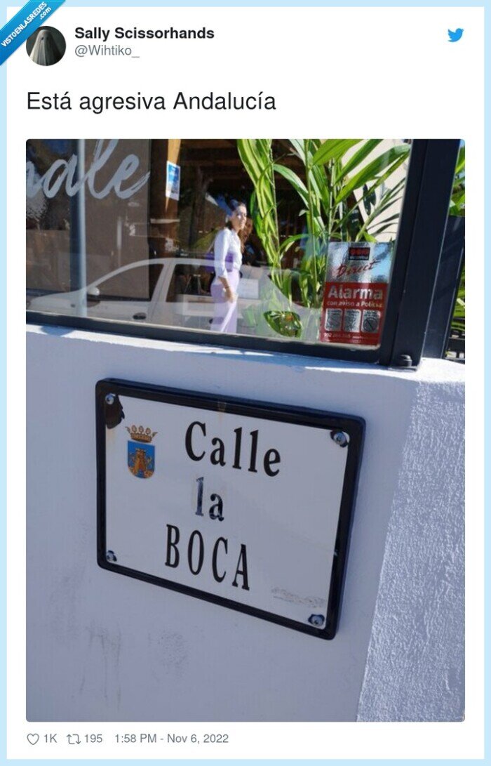 andalucía,agresiva,cartel,calle,boca