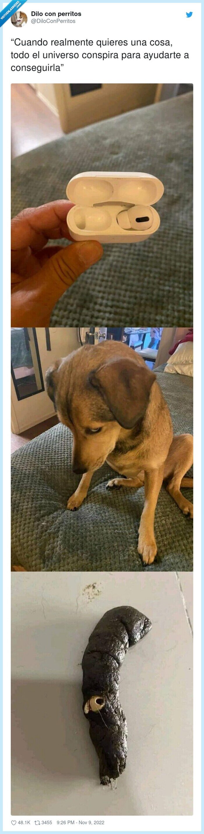 caca,aripods,perro,tragarse