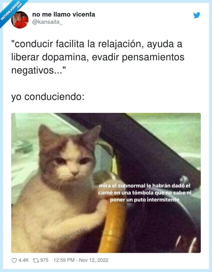 relajación,pensamientos,gato,conducir,dopamina,negativos