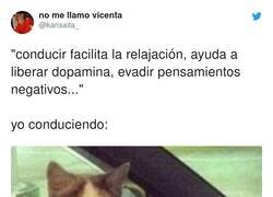 Enlace a Soy yo 100%, por @kansaita_