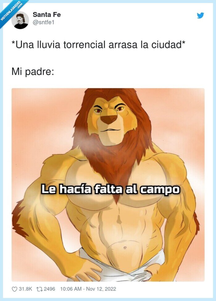 lluvia torrencial,arrasa,padre,simba