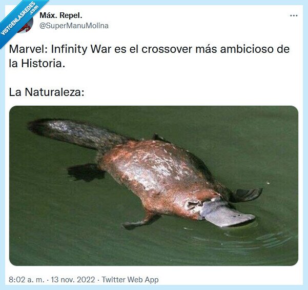 crossover,historia,infinity war,marvel,naturaleza,ornitorrinco