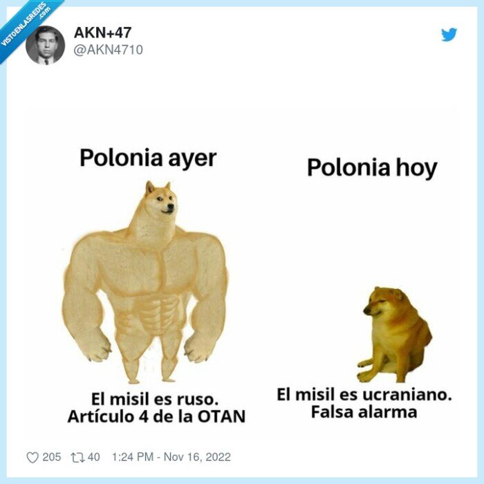 doge,cheems,polonia,misil,ucrania,rusia