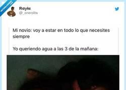 Enlace a Y ahí lo tienes, roncando como un cerdo, por @_onerolita