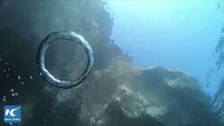 Enlace a Un buzo capturó el momento en que dos anillos de burbujas chocaron y se disolvieron para formar un círculo más grande, por @InformaCosmos