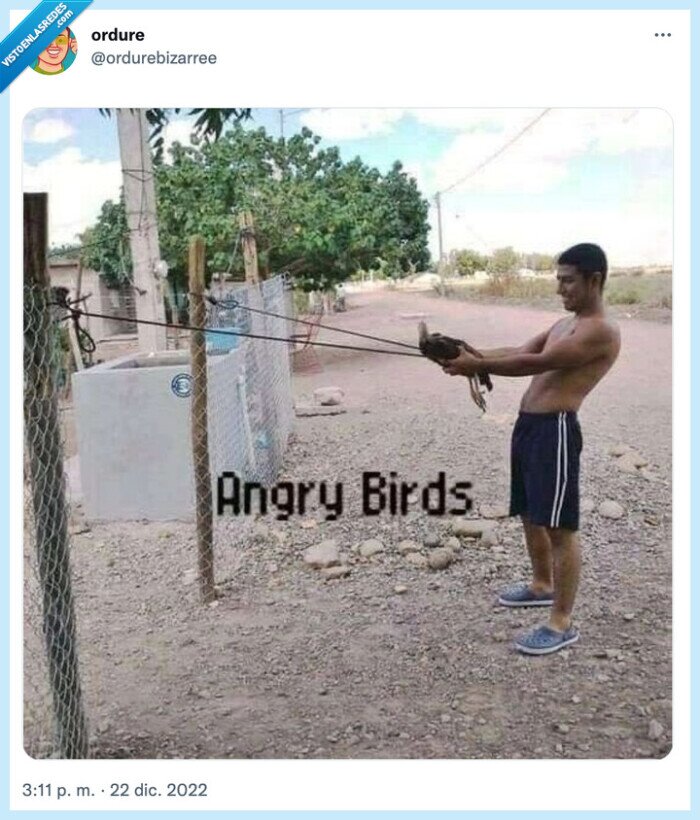 angry birds,verdad