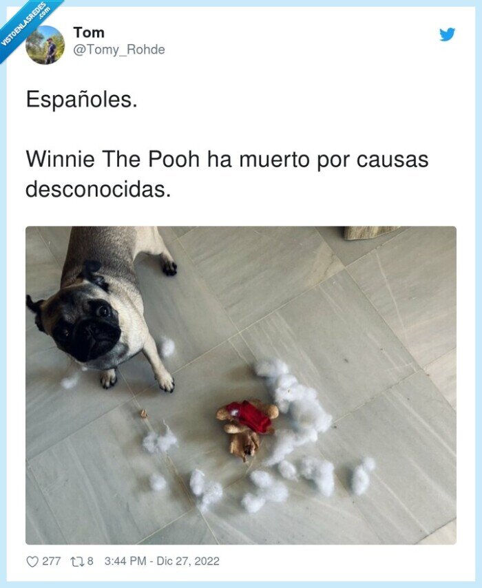 desconocidas,españoles,winnie the pooh,despellejado,algodón