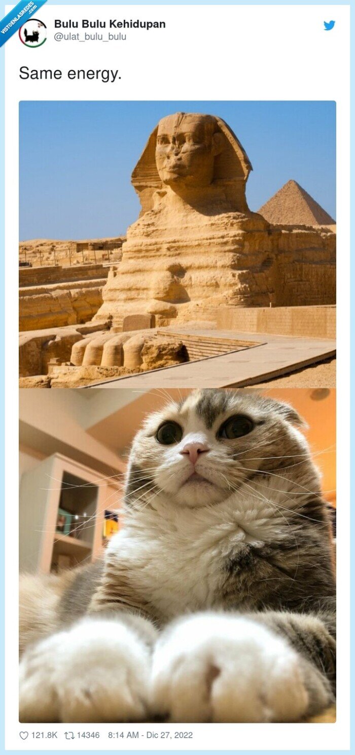 gato,esfinge,egipto