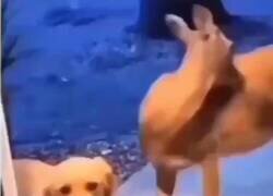 Enlace a Cuando tus hijos empiezan a traer a sus amigos a casa, por @lomitosyamigos