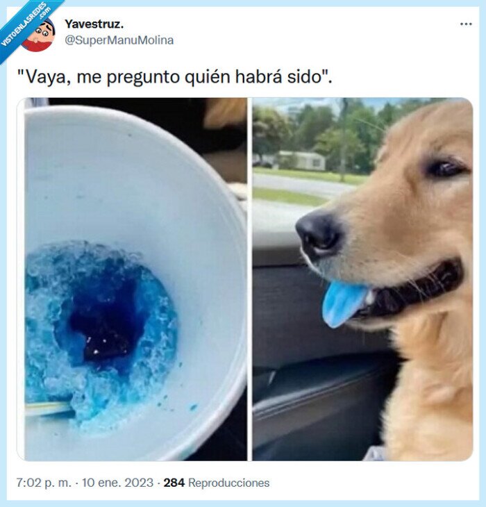 perro,lengua,bebida,azul