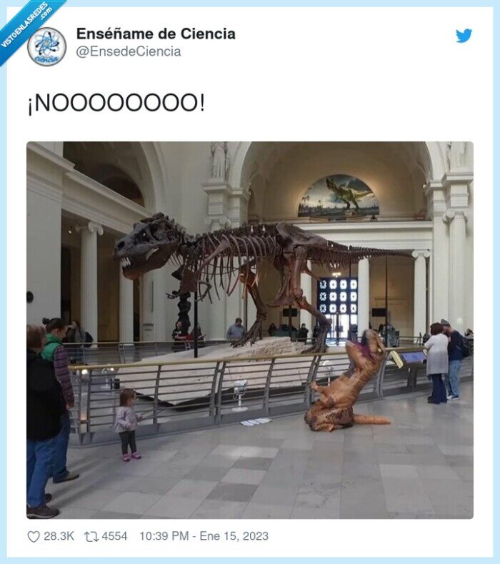 dinosaurio,museo,extincion,esqueleto,nyc
