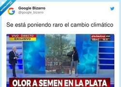 Enlace a Esto hay que pararlo, por @google_bizarro