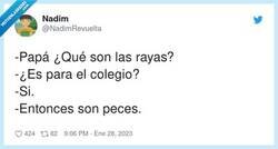 Enlace a A Albert Rivera le gusta este tuit, por @NadimRevuelta