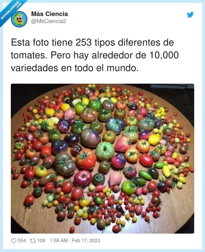 diferentes,variedades,alrededor,tomates,10,000