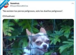 Enlace a Esos pequeños hijosdepu por @supermanumolina