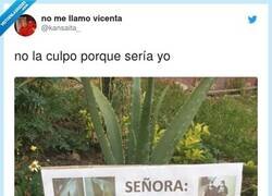 Enlace a Menudo jardín se habrá montado en su casa, por @kansaita_