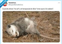 Enlace a Me pilló por @supermanumolina