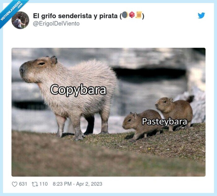 capibara,pasteybara