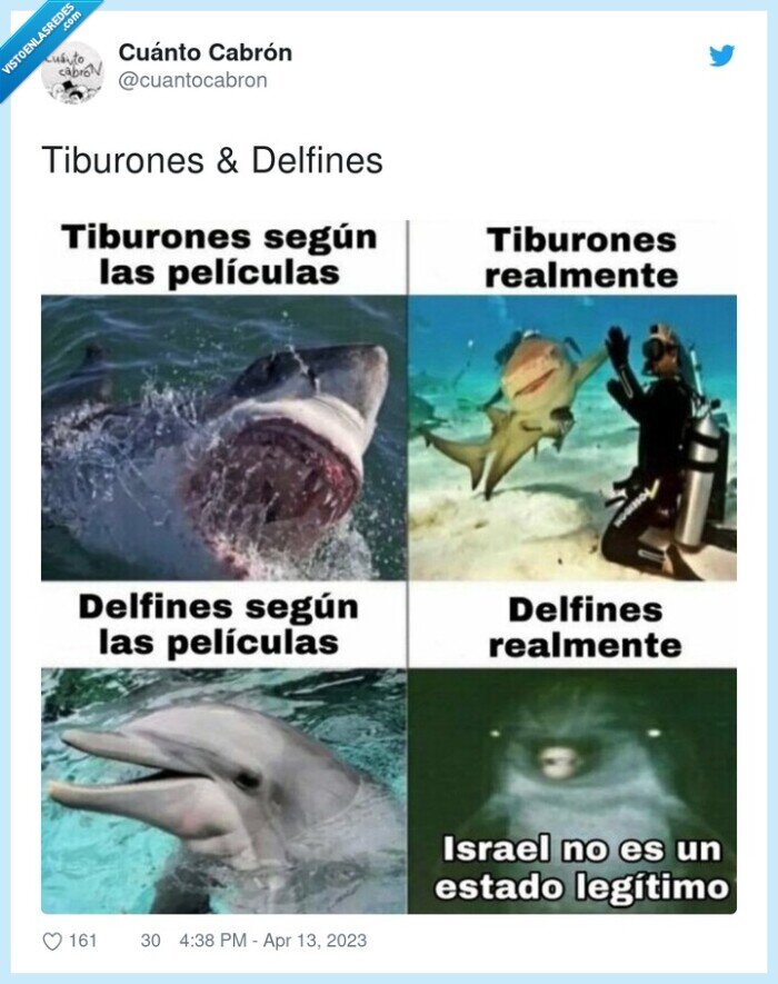 1401910 - Malditos delfines, son unos traicioneros, por @cuantocabron