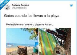 Enlace a Su cara lo dice todo, por @cuantocabron