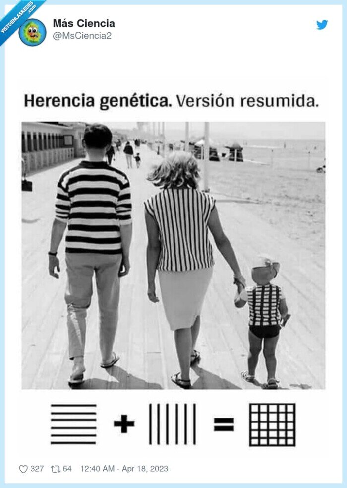 genética,rallas,cuadros,horizontales,verticales