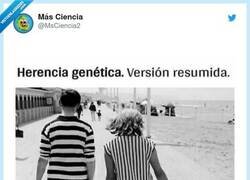 Enlace a Simplemente genética, por @MsCiencia2