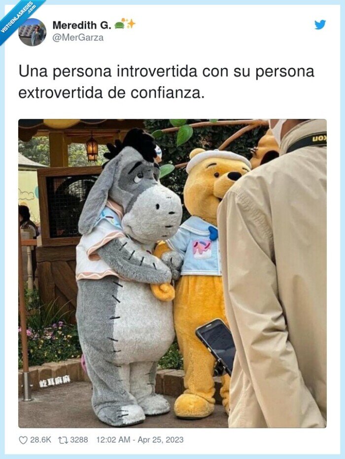 introvertida,extrovertida,confianza,winnie the pooh,donkey