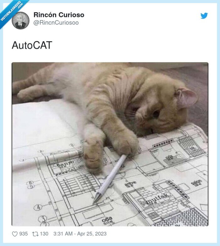 autocat,autocad,cat,gato