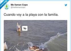 Enlace a El mejor momento del día, por @mellamancopo