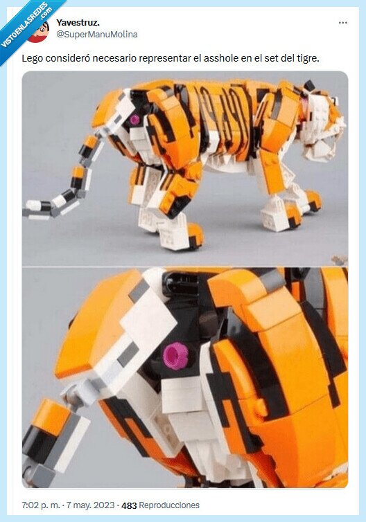 lego,asshole,tigre