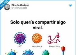 Enlace a Creo que por aquí no son muy amigos de los virus, por @RincnCuriosoo