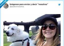 Enlace a El perro sufrió el desarrollo de personaje, por @padecirnosotros
