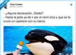 Enlace a Gladis representa la lucha del proletariado, por @victor_hurtado