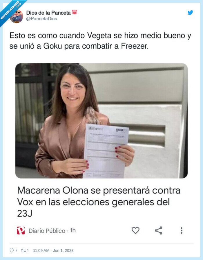 1427171 - Vegeta Olona, por @PancetaDios