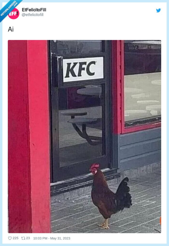 kfc,gallo,puerta
