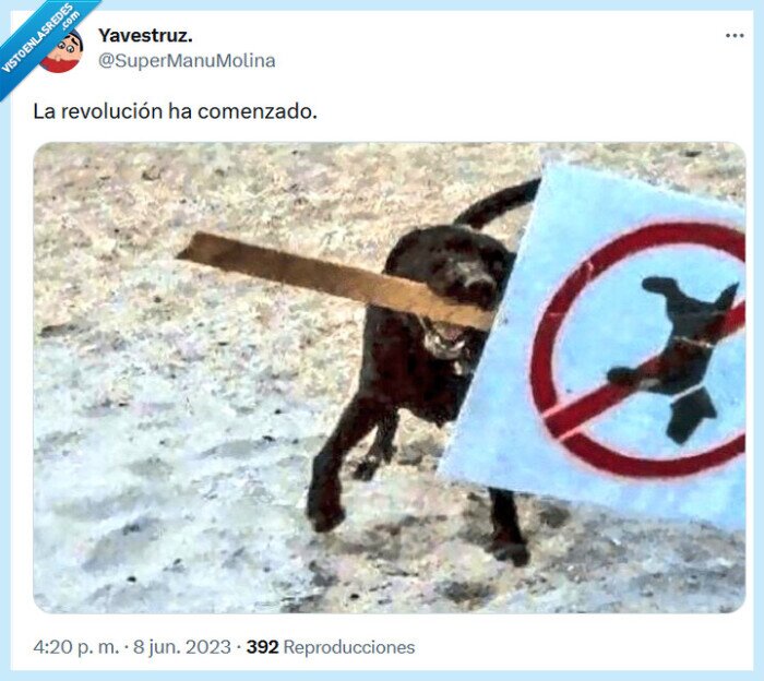 revolución,comenzar,perro,señal