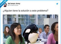Enlace a Que Gladis se encargue de ello, por @TirodeGraciah