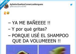 Enlace a Champú que da volumen a tu cabello, por @BocataJamonEHM