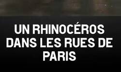 Enlace a Tremendo: Los 'seres de la luz', han dejado libre a un rinoceronte por las calles de Paris
