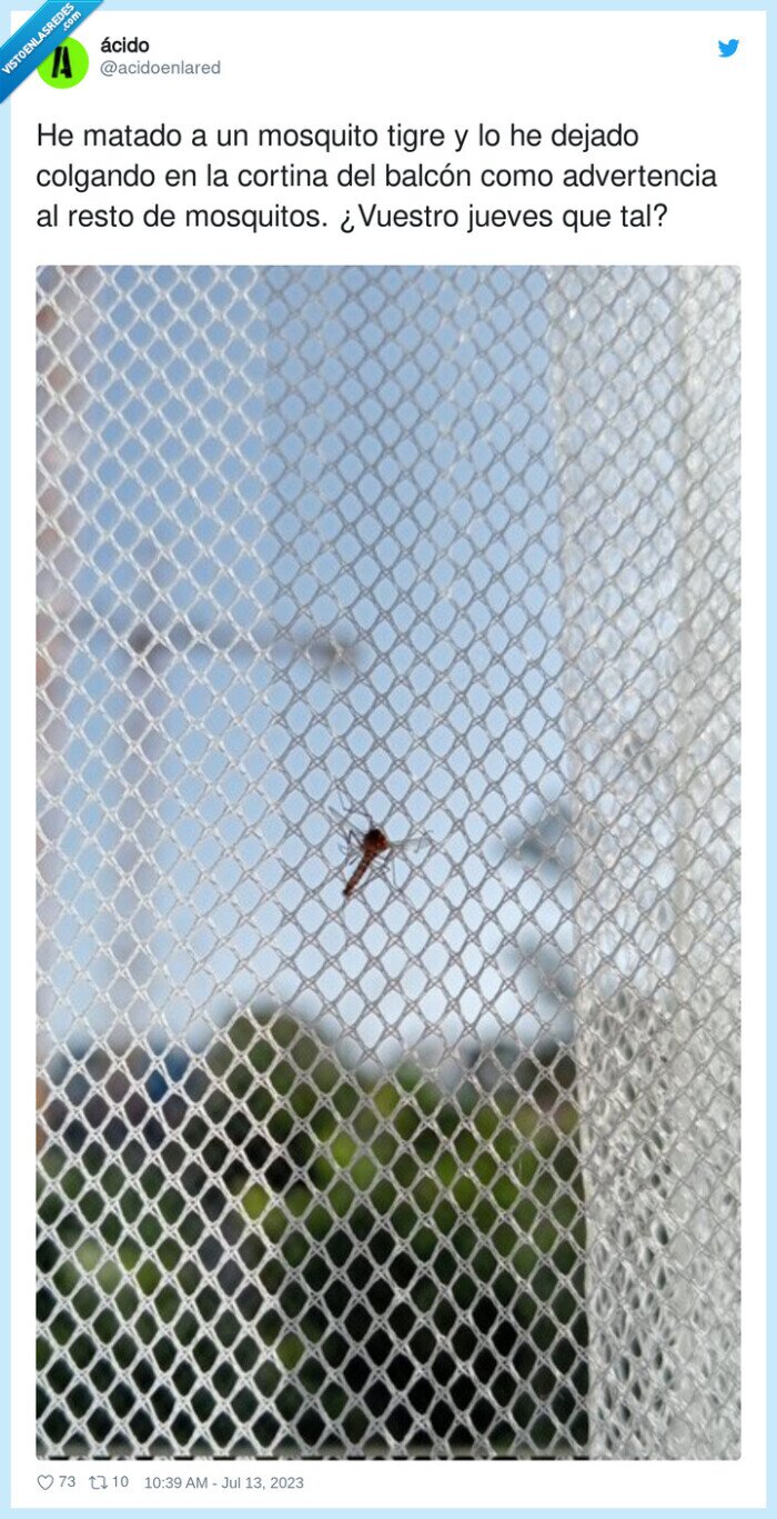 advertencia,mosquito,colgando,cortina,balcón