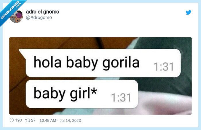 baby gorila,baby girl
