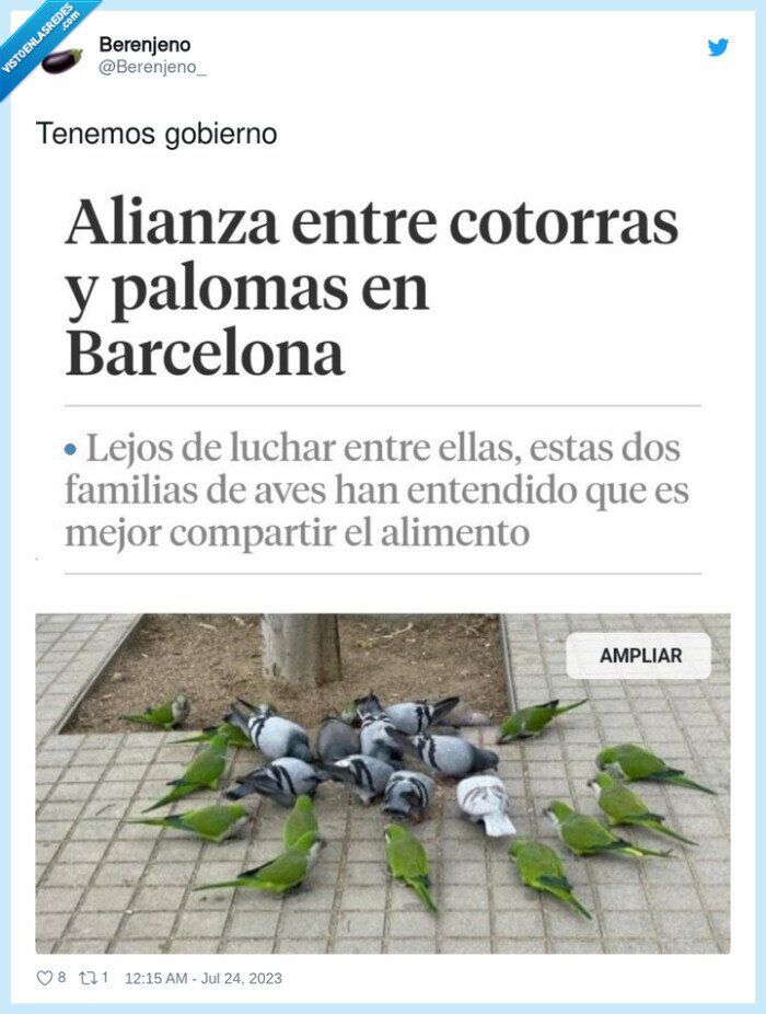 gobierno,alianza,cotorras,palomas,barcelona