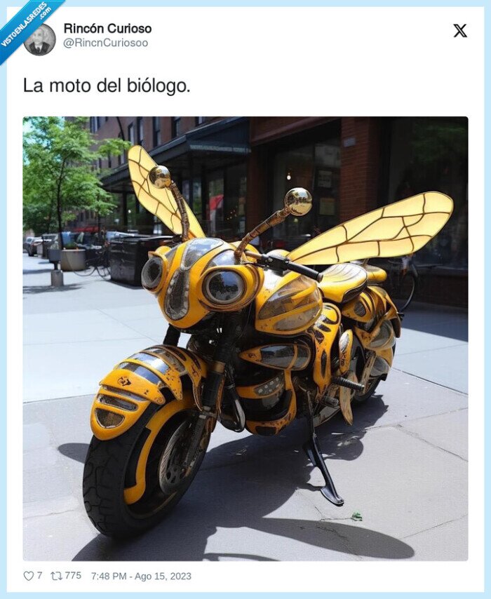 biólogo,moto,abeja