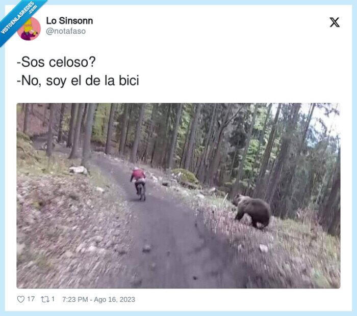 oso,bicicleta,bici,celoso