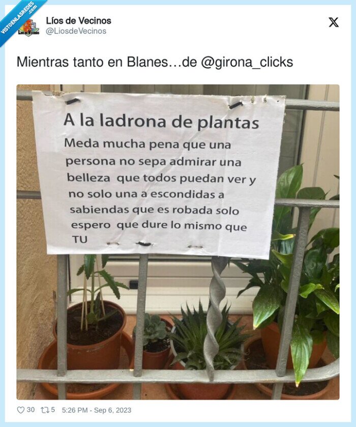 plantas,robar,jardin