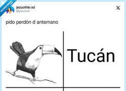 Enlace a Tucan vs Ustedcan, por @yisucrist