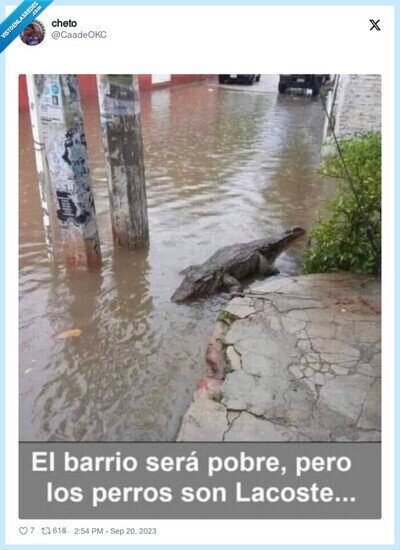 Mejor vef de ayer